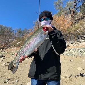 Meet your Posher, Nickolas